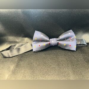 Polka Dot Bow Tie